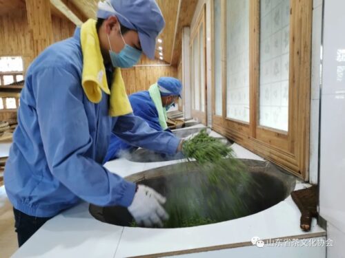 Chinese traditional handmade tea