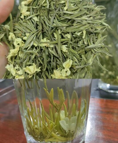 organic green jasmine tea Chinese supplier